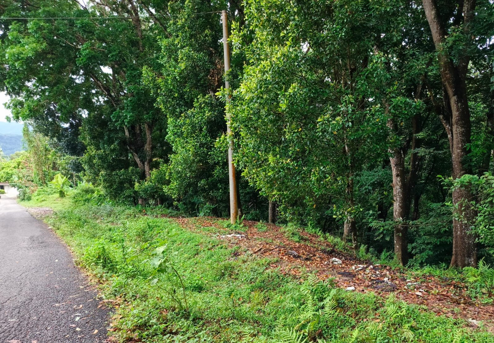 Perhutani Diduga Tidak Salurkan TJSL/CSR, Masyarakat dan Desa Pertanyakan Transparansi