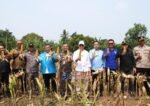 KNPI Lebak mengalokasikan hasil panen jagung untuk beasiswa, bantuan sosial, dan pesantren. Wagub Banten mengapresiasi peran pemuda. (Istimewa) Pemprov Banten.
